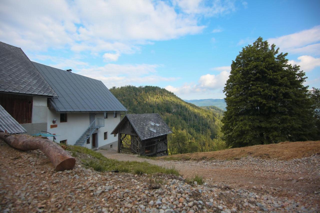 Apartma Gorski Razgled Srednja Vas v Bohinju Exteriör bild