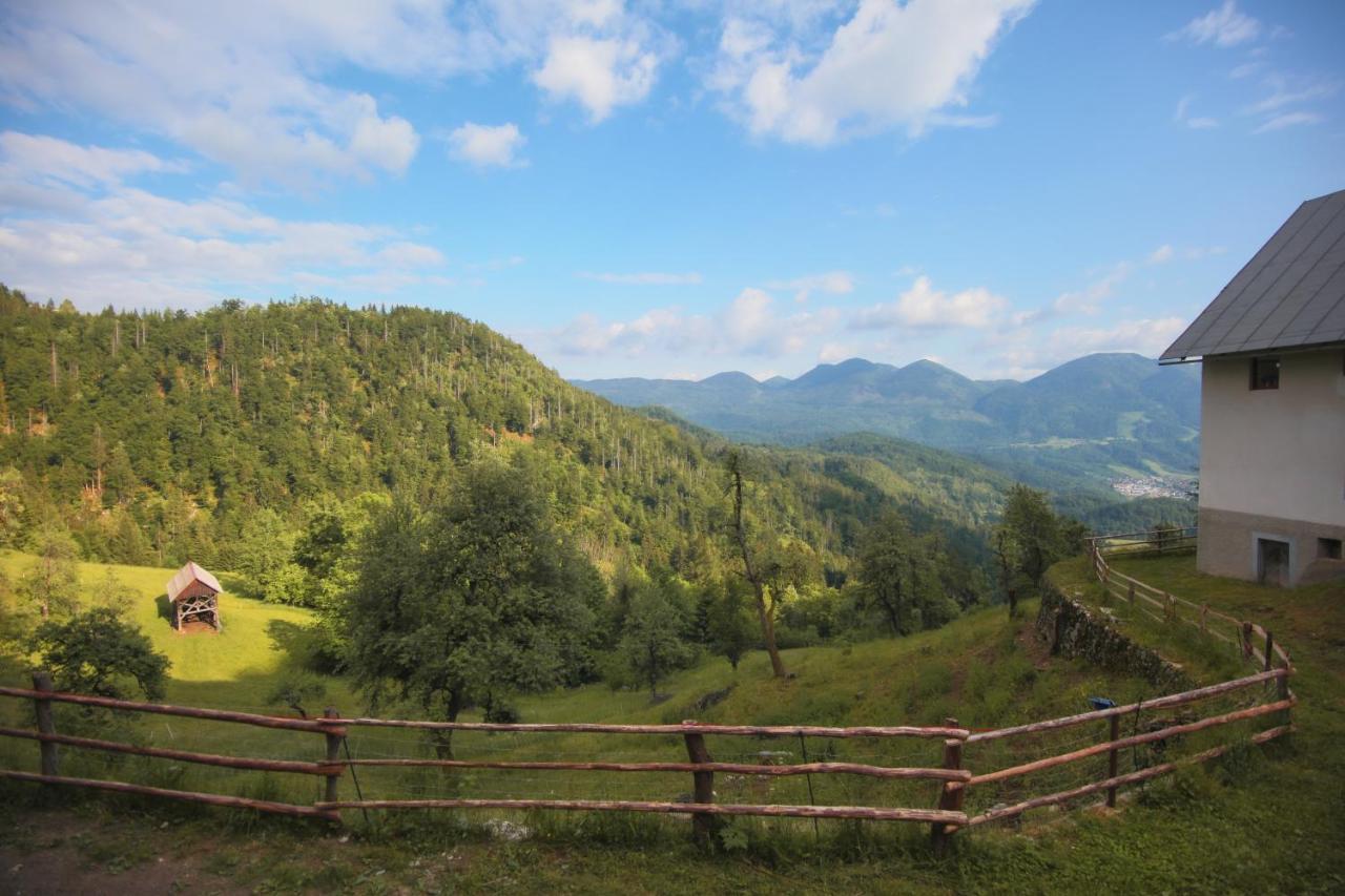 Apartma Gorski Razgled Srednja Vas v Bohinju Exteriör bild