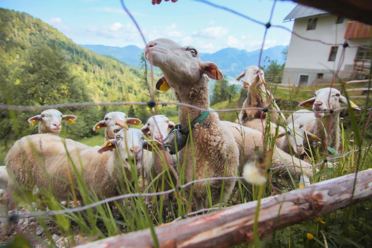 Apartma Gorski Razgled Srednja Vas v Bohinju Exteriör bild