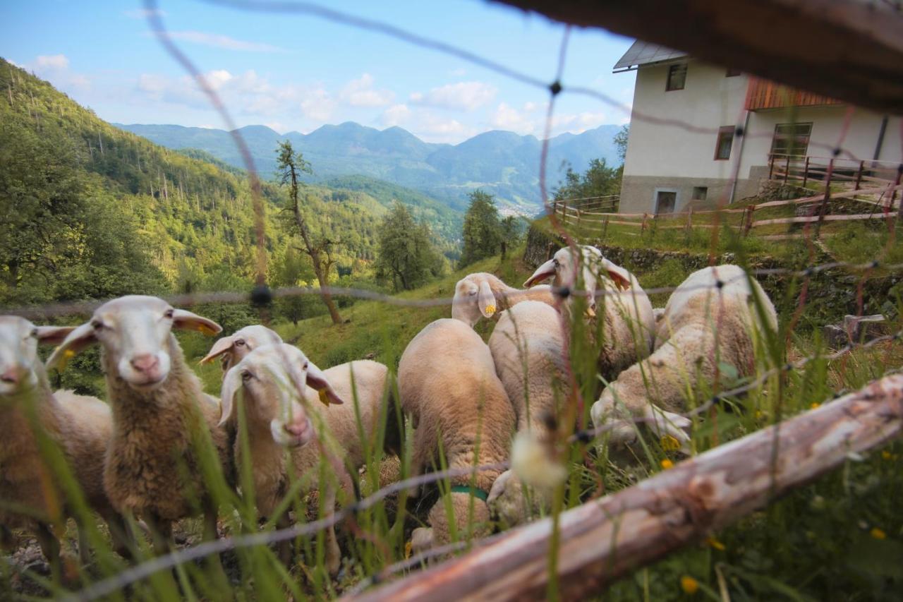 Apartma Gorski Razgled Srednja Vas v Bohinju Exteriör bild