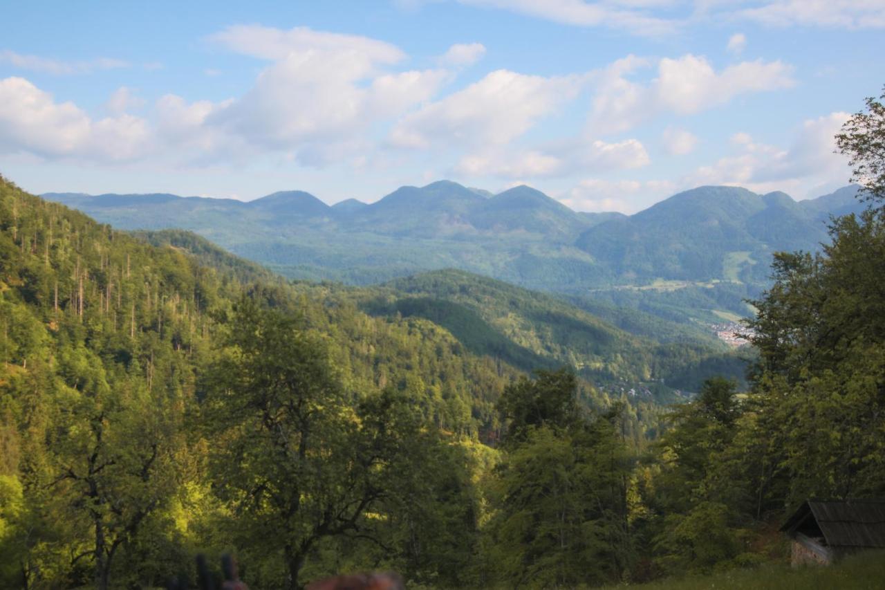 Apartma Gorski Razgled Srednja Vas v Bohinju Exteriör bild