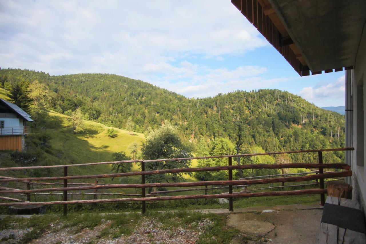 Apartma Gorski Razgled Srednja Vas v Bohinju Exteriör bild